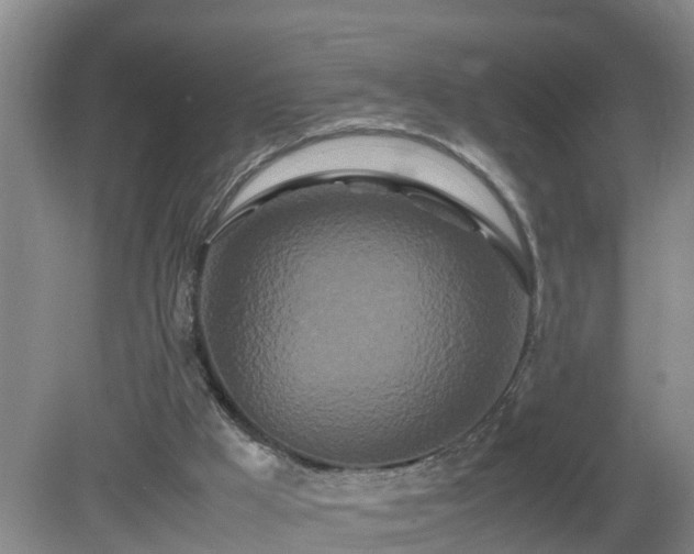 X0000081490009200701191910