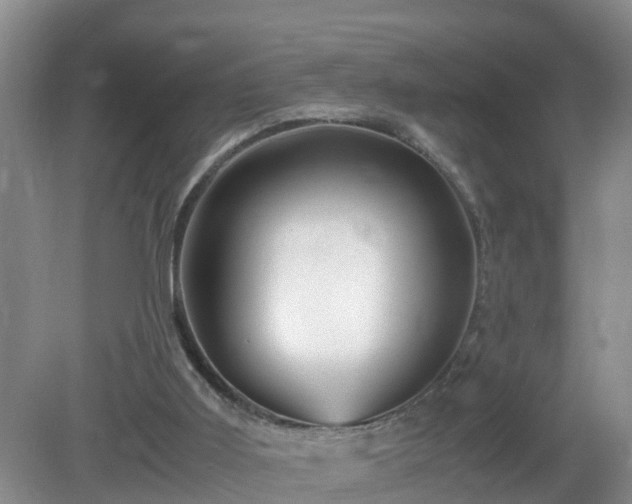 X0000081490011200701191910