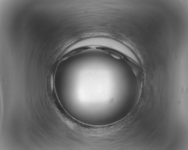 X0000081490013200701191910