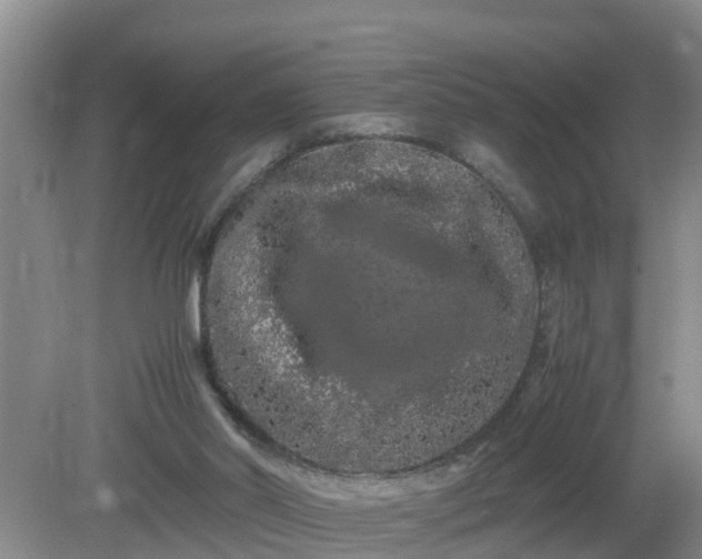 X0000081490014200701191910