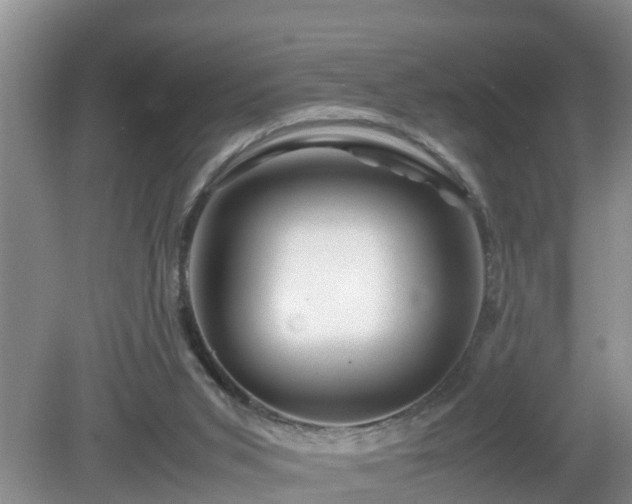 X0000081490015200701191910