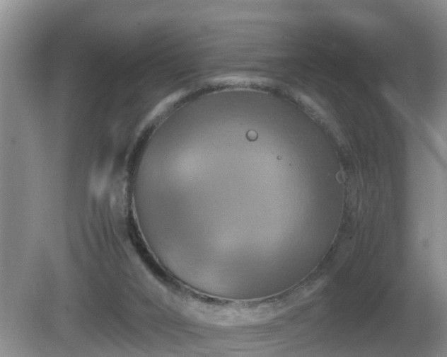 X0000081490016200701191910