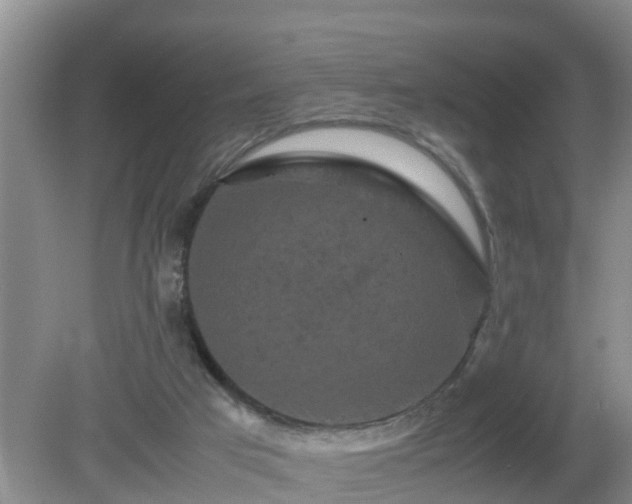 X0000081490017200701191910