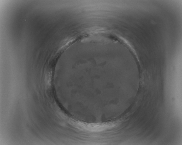 X0000081490018200701191910