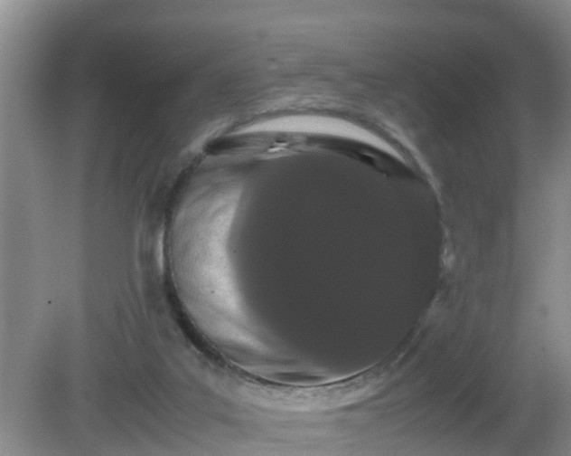 X0000081490019200701191910