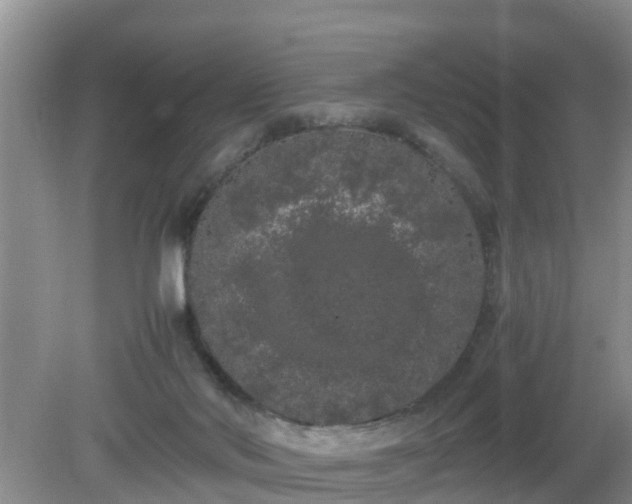 X0000081490022200701191910