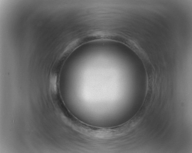 X0000081490024200701191910