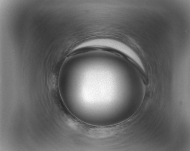 X0000081490025200701191910