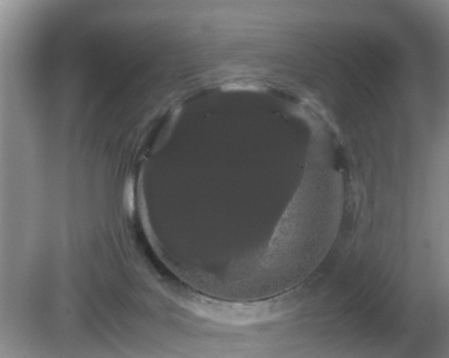 X0000081490027200701191910