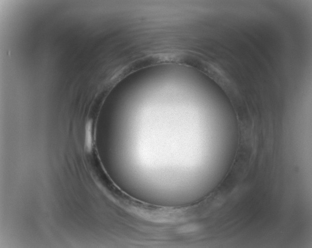 X0000081490028200701191910