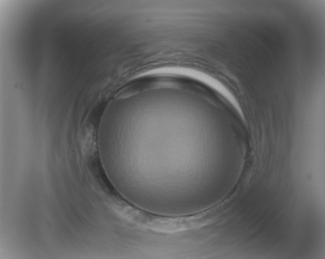 X0000081490029200701191910