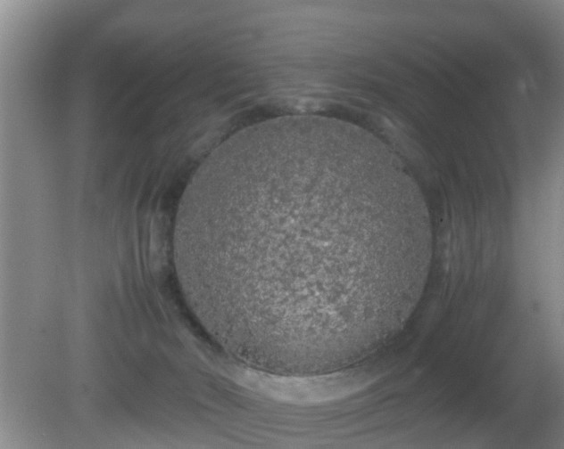 X0000081490030200701191910