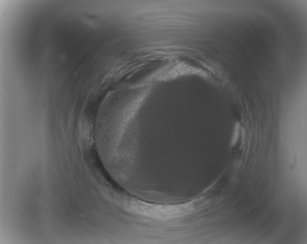 X0000081490031200701191910