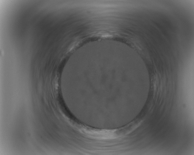 X0000081490032200701191910