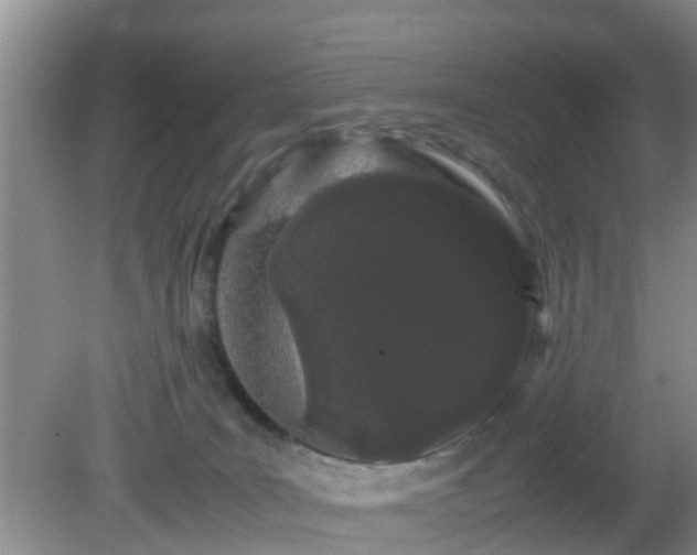 X0000081490035200701191910