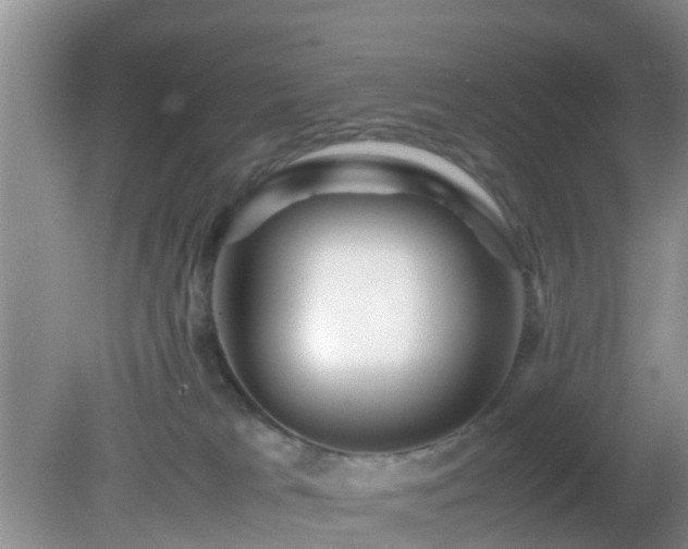 X0000081490037200701191910