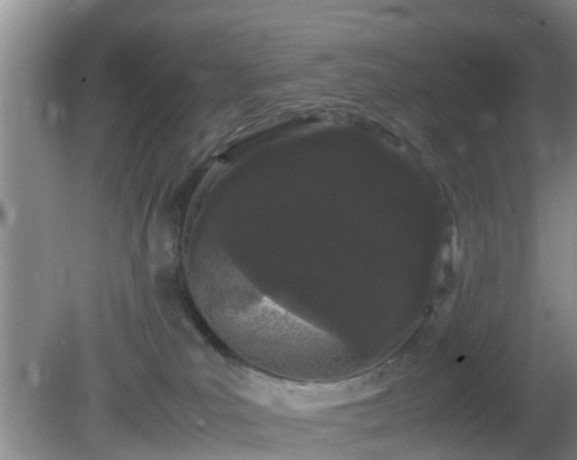 X0000081490039200701191910