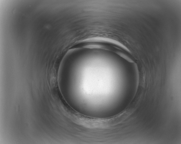 X0000081490040200701191910