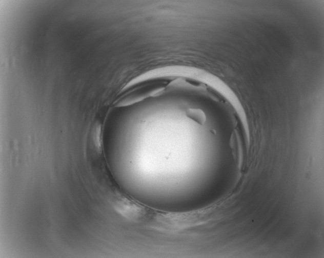 X0000081490041200701191910