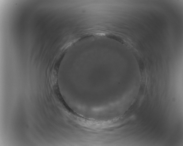 X0000081490043200701191910