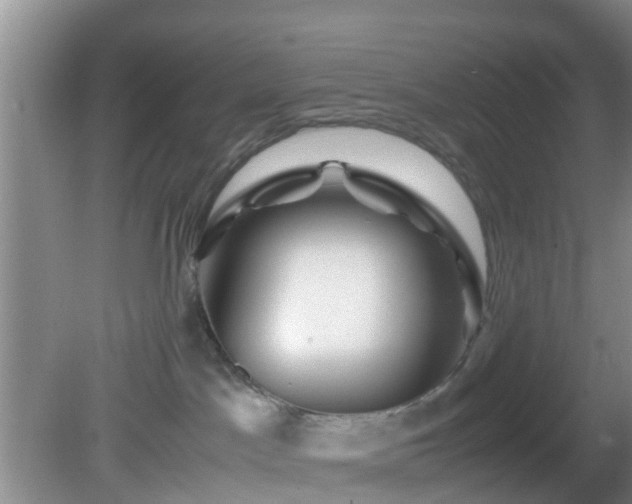 X0000081490045200701191910