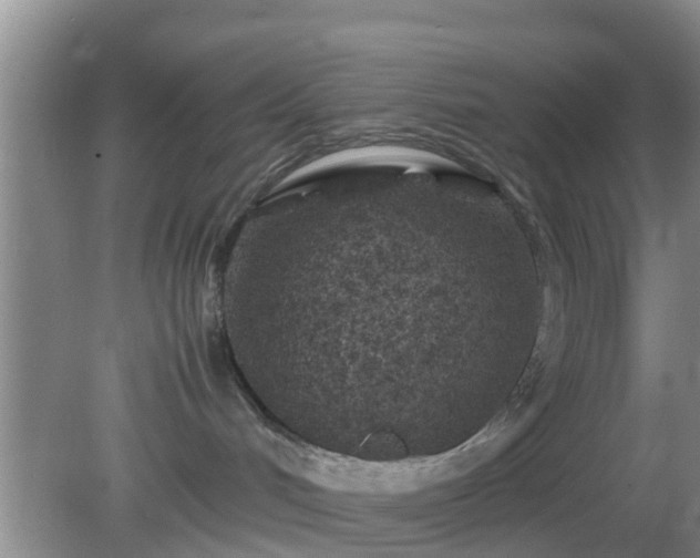 X0000081490048200701191909