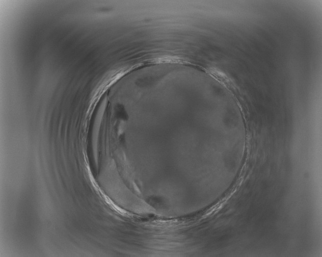 X0000081490049200701191909