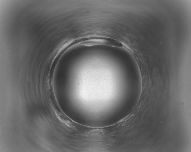 X0000081490050200701191909