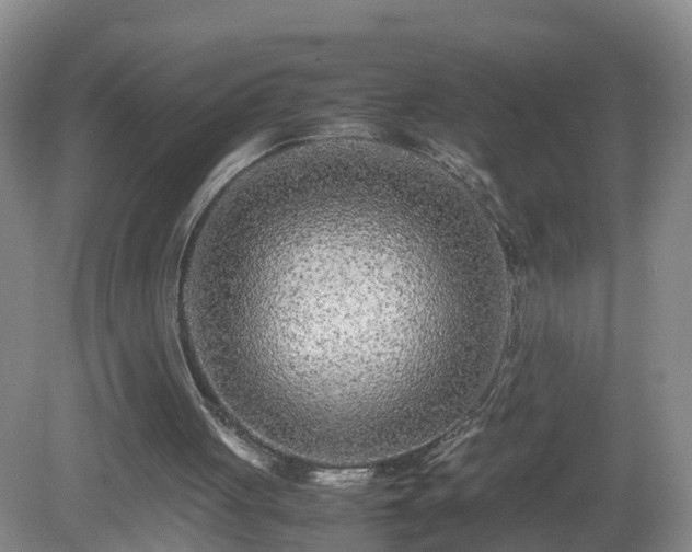 X0000081490051200701191909