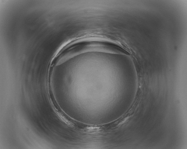 X0000081490052200701191909