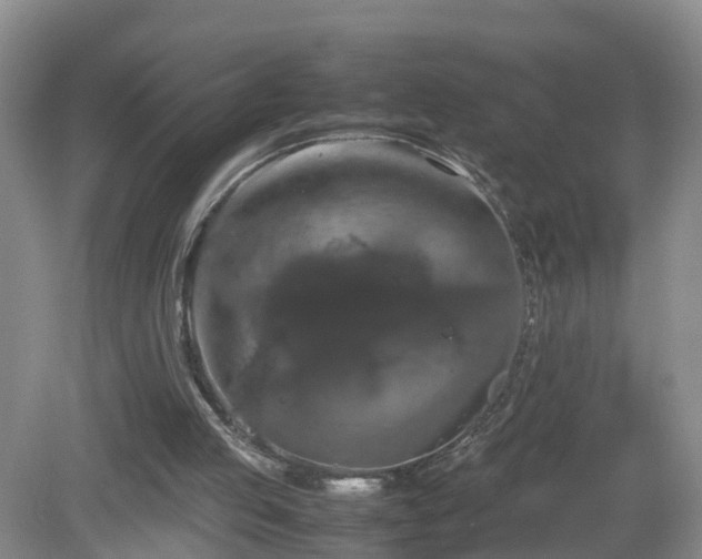 X0000081490053200701191909