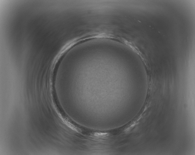 X0000081490055200701191909