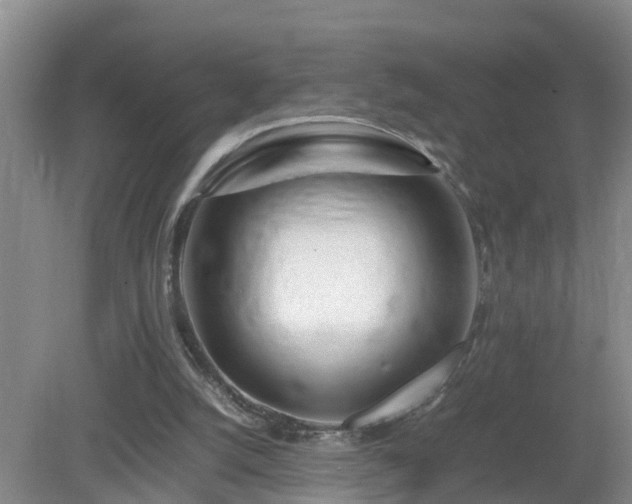 X0000081490056200701191909