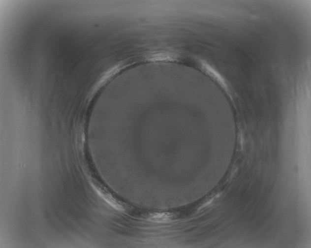 X0000081490059200701191909