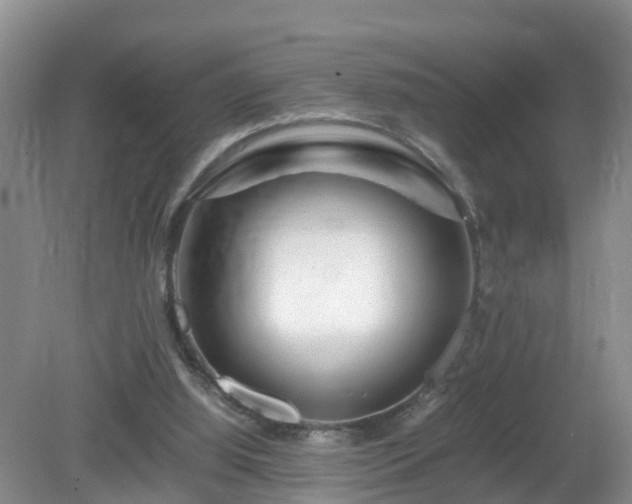 X0000081490060200701191909