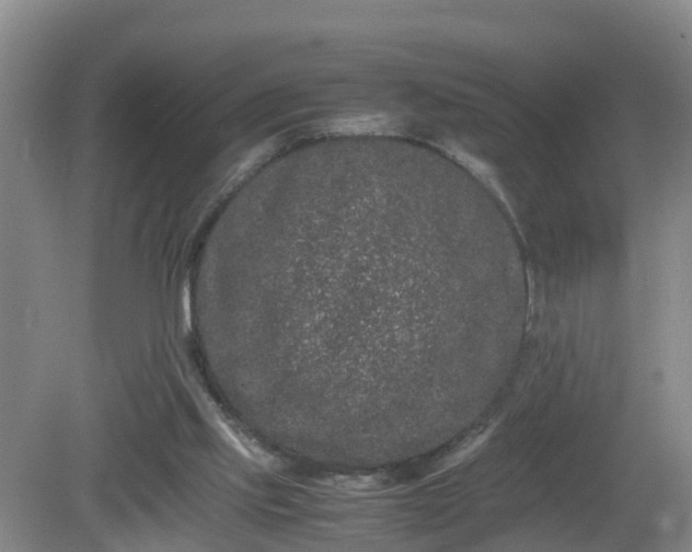 X0000081490061200701191909