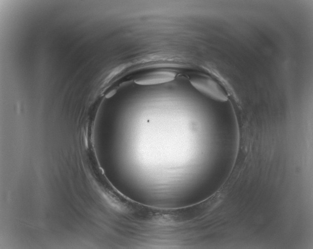 X0000081490062200701191909