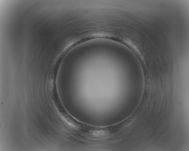 X0000081490063200701191909