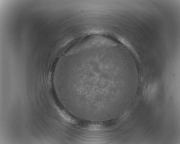 X0000081490066200701191909