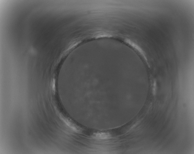 X0000081490067200701191909