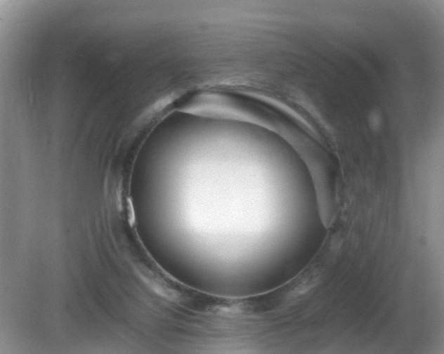 X0000081490068200701191909