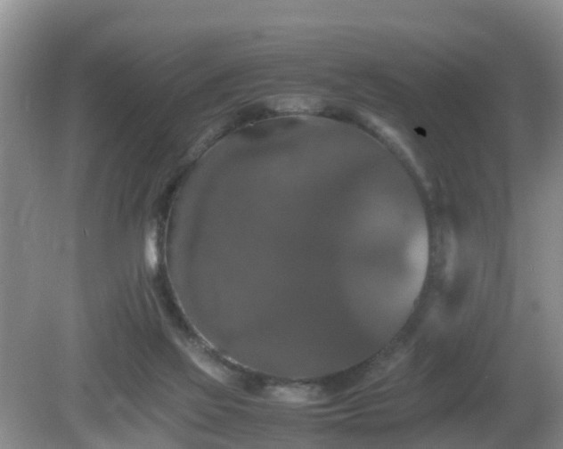 X0000081490069200701191909