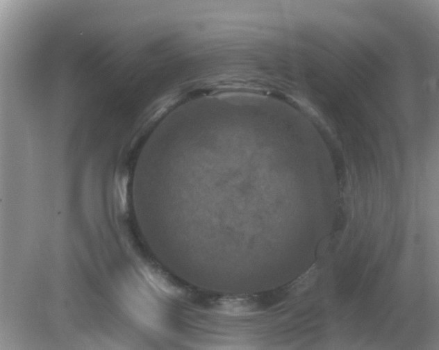 X0000081490070200701191909