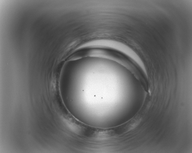 X0000081490072200701191909