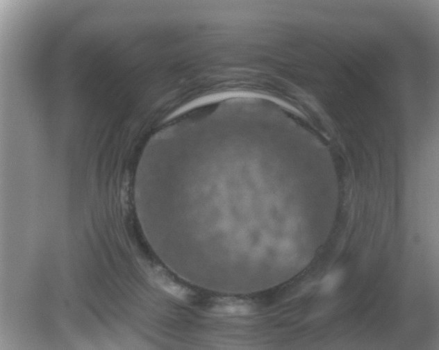 X0000081490073200701191909