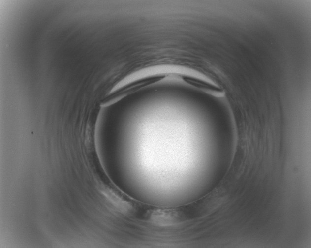 X0000081490077200701191909