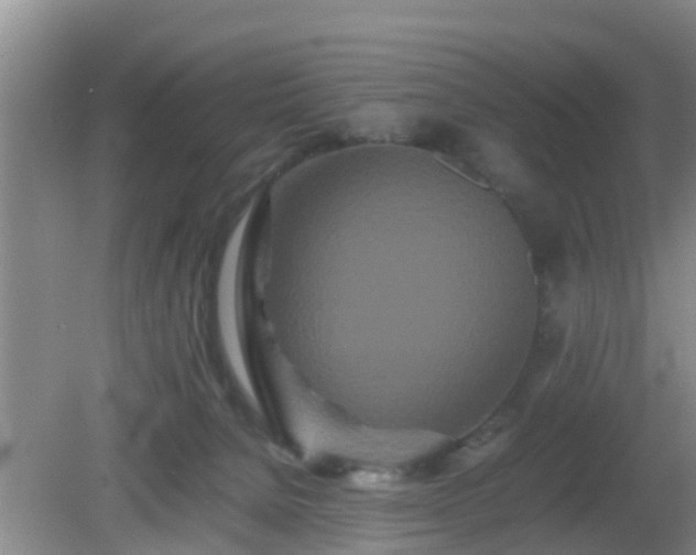 X0000081490080200701191909