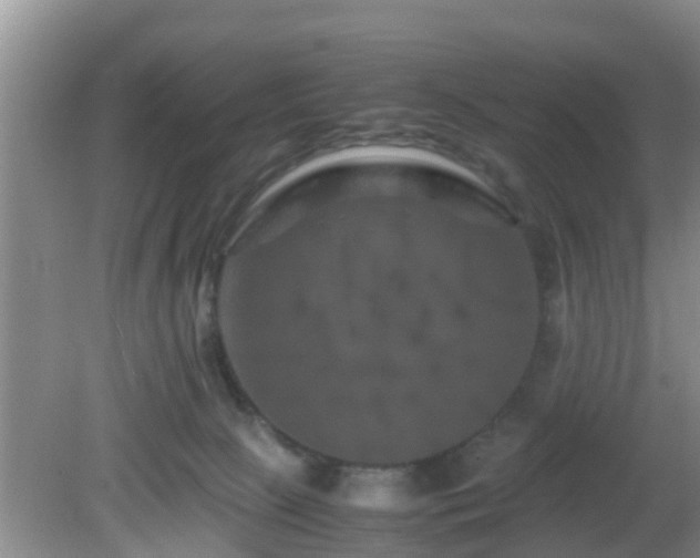 X0000081490081200701191909