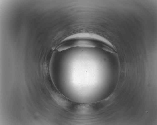 X0000081490086200701191909