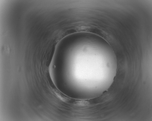 X0000081490087200701191909